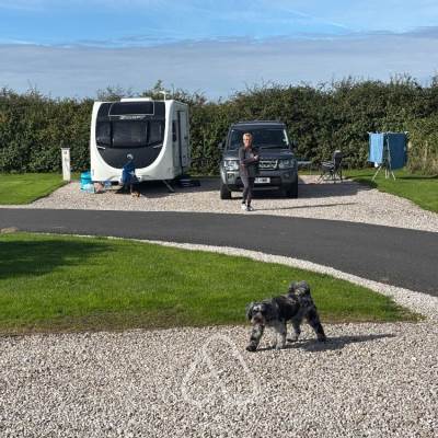 Donkey Creek Farm Caravan Park photo 4